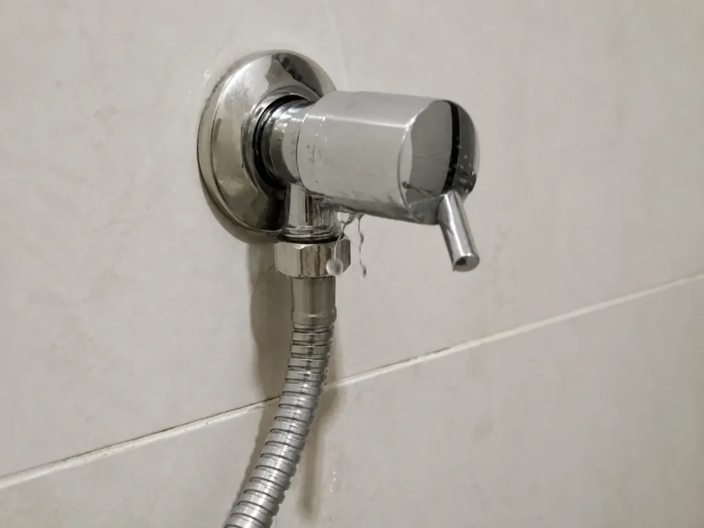 Water leaking from a wall angle valve connected to a bidet hose.